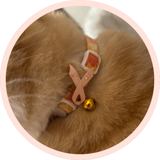 ピンクゴールドリボン運動